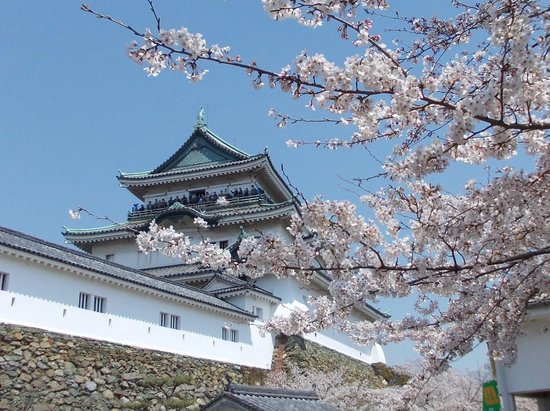 和歌山城